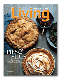 Martha Stewart Magazine