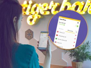 TigerVPN